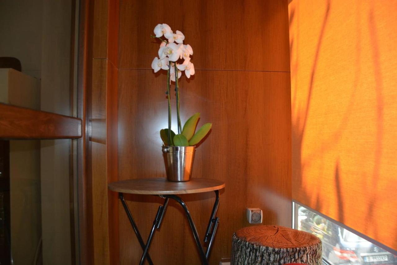 Appartamento Unbeatable Location - New Lux By Flat Mаnager Varna